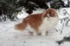 img_2553_small.jpg