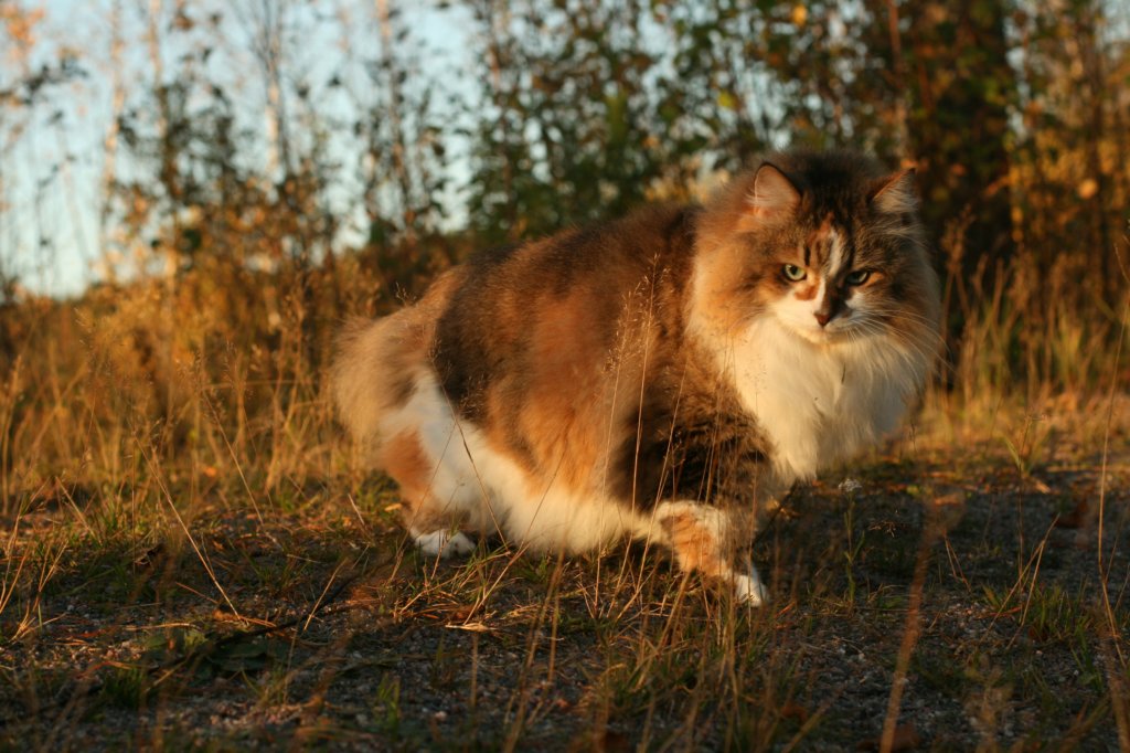 avilaimg_0255.jpg
