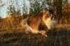 avilaimg_0255_small.jpg