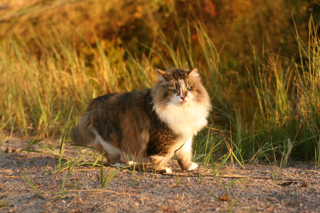 avilaimg_0269.jpg