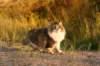 avilaimg_0269_small.jpg