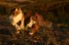 avilaimg_0275_small.jpg