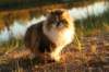 avilaimg_0294_small.jpg