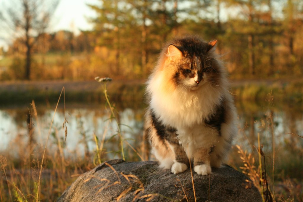 avilaimg_0297.jpg