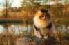 avilaimg_0297_small.jpg