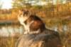 avilaimg_0303_small.jpg
