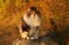 avilaimg_0321_small.jpg