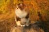 avilaimg_0322_small.jpg