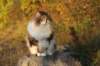 avilaimg_0323_small.jpg