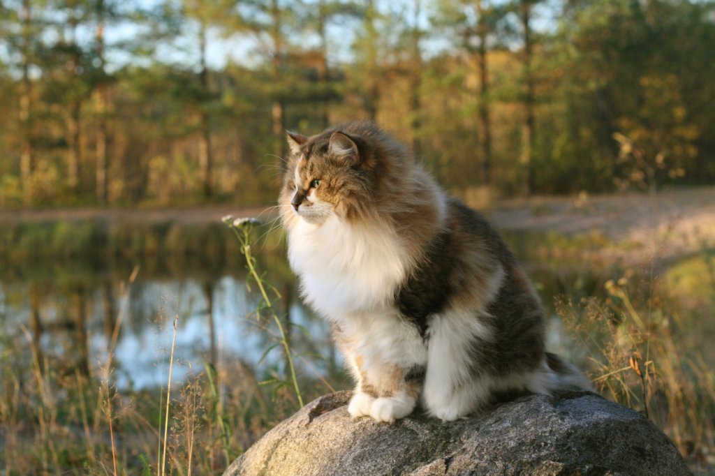 avilaimg_0326.jpg