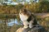 avilaimg_0326_small.jpg