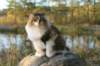avilaimg_0332_small.jpg