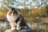 avilaimg_0334_small.jpg