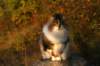 avilaimg_0336_small.jpg