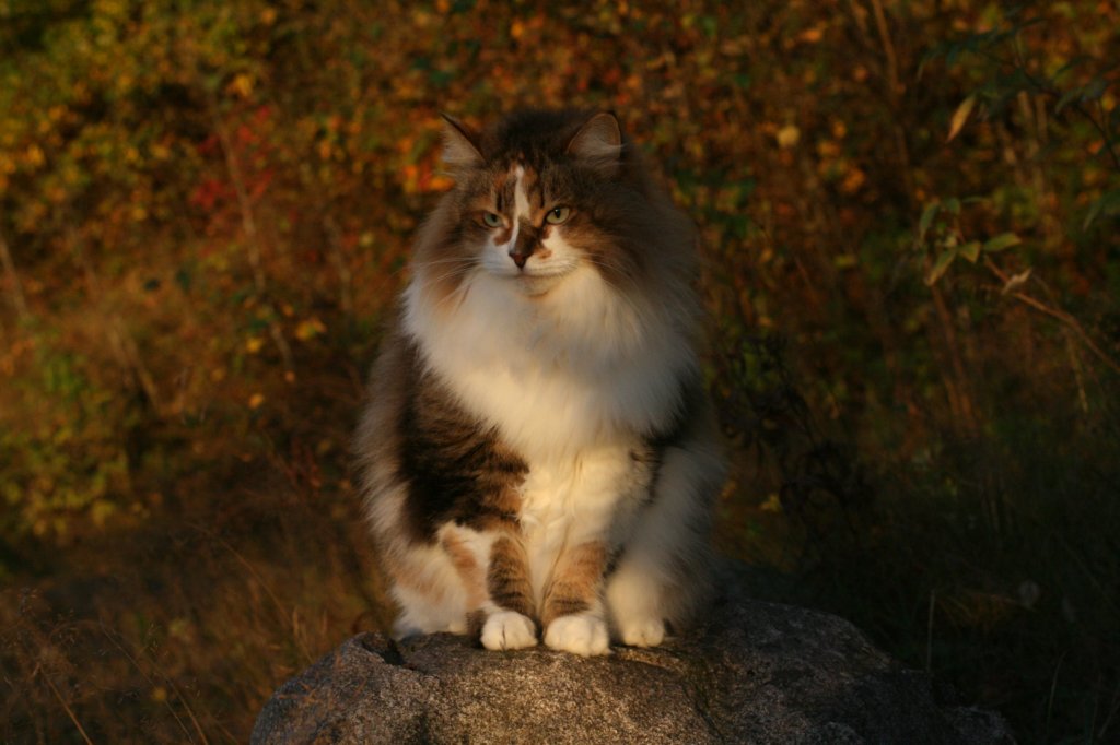 avilaimg_0337.jpg