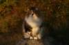 avilaimg_0337_small.jpg