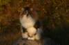 avilaimg_0342_small.jpg