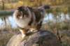 avilaimg_0347_small.jpg