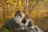 avilaimg_0362_small.jpg