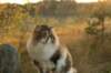 avilaimg_0363_small.jpg