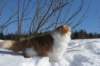 img_4511_small.jpg
