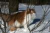 img_4590_small.jpg