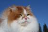 img_4877_small.jpg