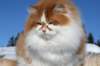 img_4878_small.jpg