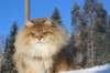 img_5886_small.jpg