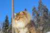 img_5887_small.jpg