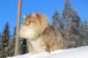 img_5889_small.jpg