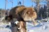 img_5900_small.jpg