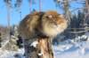 img_5920_small.jpg
