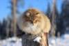 img_5969_small.jpg