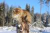img_6000_small.jpg