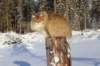 img_6046_small.jpg