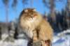 img_6062_small.jpg