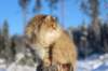 img_6064_small.jpg