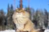 img_6068_small.jpg