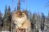 img_6069_small.jpg