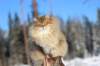 img_6074_small.jpg