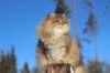img_6103_small.jpg