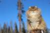 img_6112_small.jpg