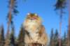 img_6130_small.jpg