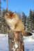 img_6345_small.jpg