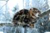 img_2900_small.jpg