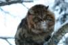 img_2940_small.jpg