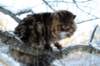 img_2961_small.jpg
