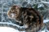 img_2967_small.jpg