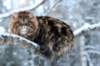 img_2986_small.jpg